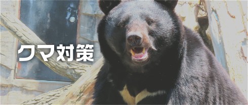 クマ対策